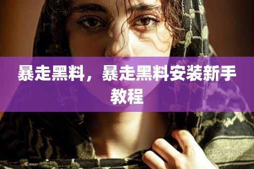 暴走黑料，暴走黑料安装新手教程