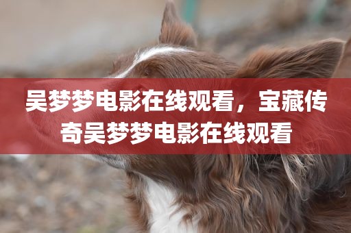 吴梦梦电影在线观看，宝藏传奇吴梦梦电影在线观看