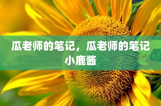 瓜老师的笔记，瓜老师的笔记小鹿酱