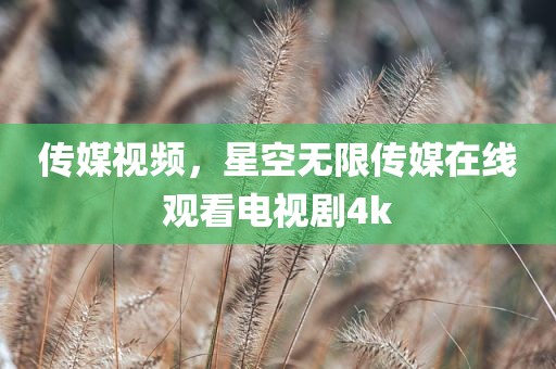 传媒视频，星空无限传媒在线观看电视剧4k