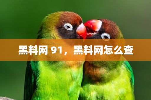 黑料网 91，黑料网怎么查