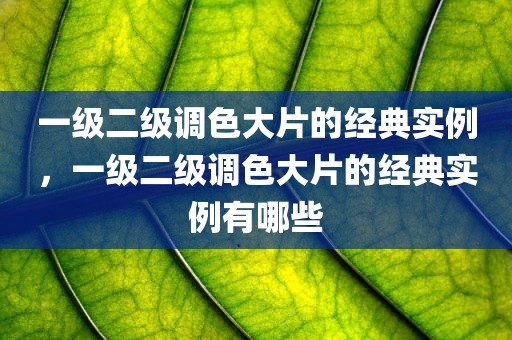 一级二级调色大片的经典实例，一级二级调色大片的经典实例有哪些