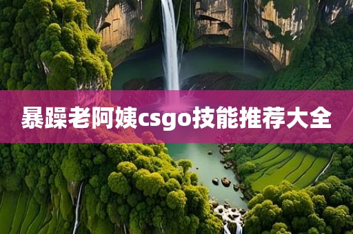 暴躁老阿姨csgo技能推荐大全