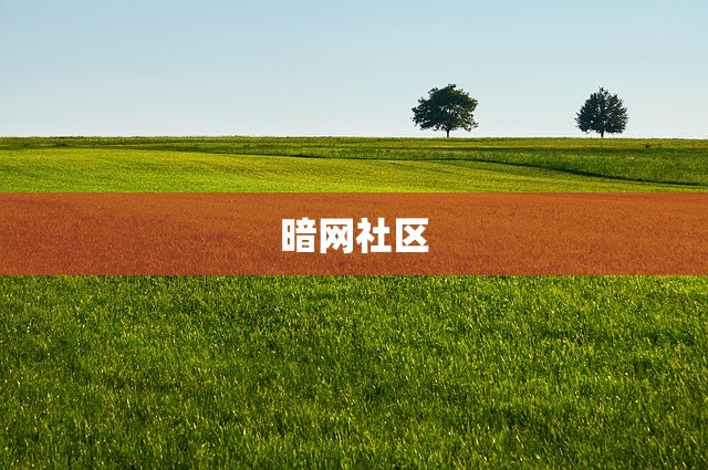 暗网社区