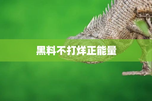 黑料不打烊正能量