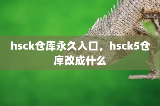 hsck仓库永久入口，hsck5仓库改成什么