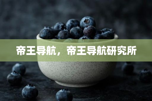 帝王导航，帝王导航研究所