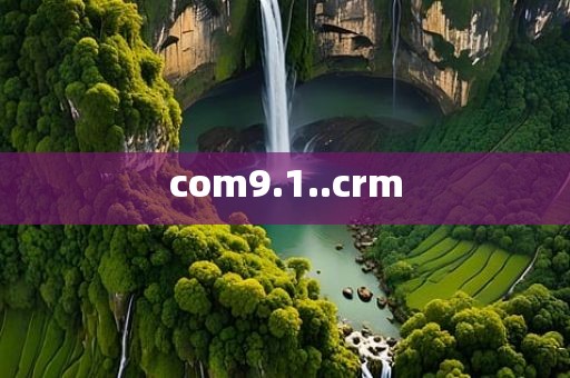 com9.1..crm