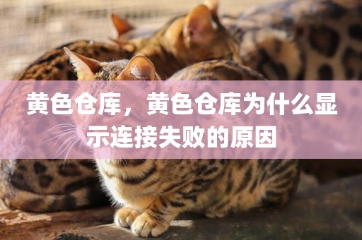 黄色仓库，黄色仓库为什么显示连接失败的原因