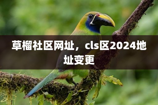 草榴社区网址，cls区2024地址变更
