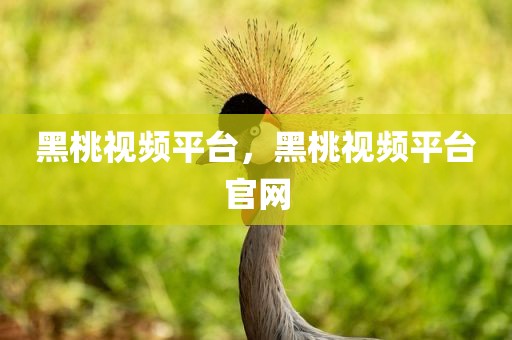 黑桃视频平台，黑桃视频平台官网