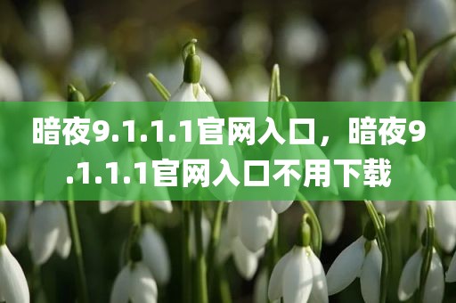 暗夜9.1.1.1官网入口，暗夜9.1.1.1官网入口不用下载