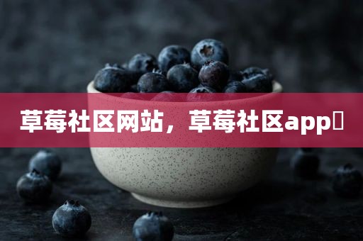 草莓社区网站，草莓社区app 