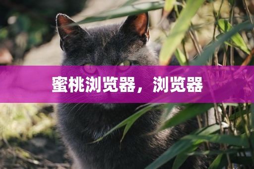 蜜桃浏览器，浏览器