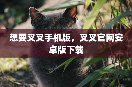 想要叉叉手机版，叉叉官网安卓版下载
