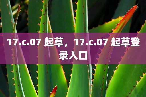 17.c.07 起草，17.c.07 起草登录入口