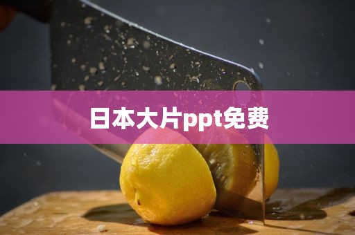 日本大片ppt免费