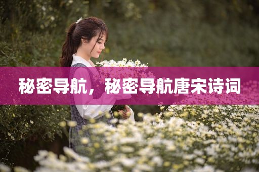 秘密导航，秘密导航唐宋诗词