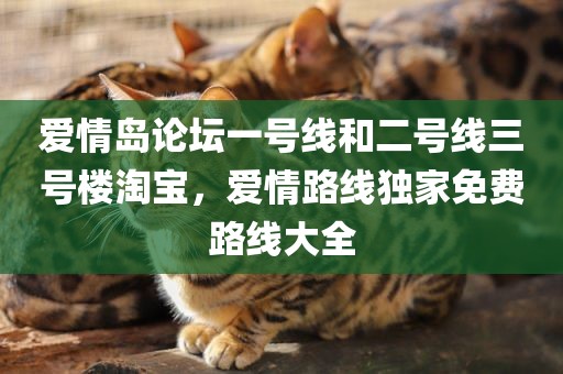 爱情岛论坛一号线和二号线三号楼淘宝，爱情路线独家免费路线大全