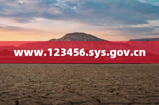 www.123456.sys.gov.cn