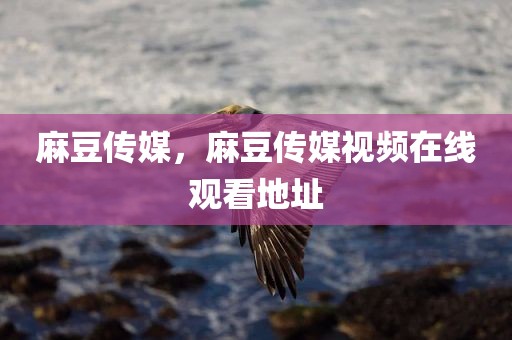 麻豆传媒，麻豆传媒视频在线观看地址