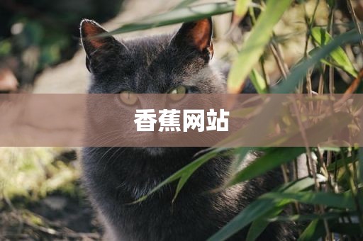 香蕉网站