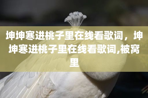 坤坤寒进桃子里在线看歌词，坤坤寒进桃子里在线看歌词,被窝里