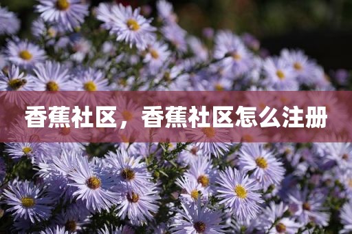 香蕉社区，香蕉社区怎么注册