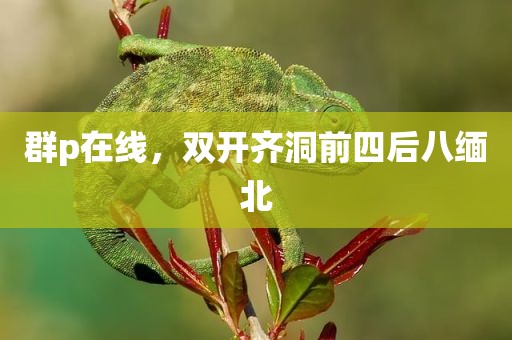 群p在线，双开齐洞前四后八缅北