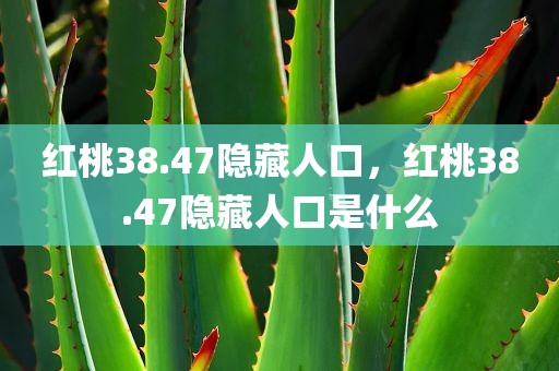 红桃38.47隐藏人口，红桃38.47隐藏人口是什么