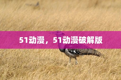 51动漫，51动漫破解版