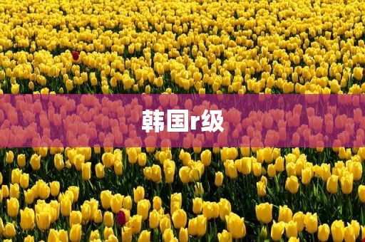 韩国r级