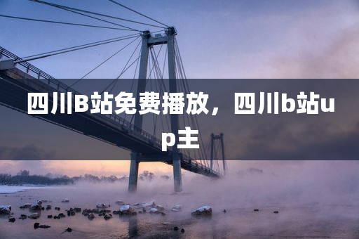 四川B站免费播放，四川b站up主