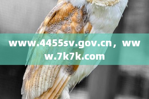 www.4455sv.gov.cn，www.7k7k.com