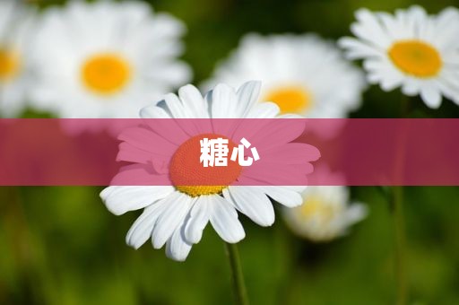 糖心