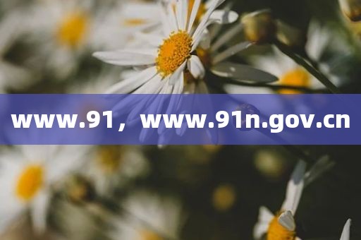 www.91，www.91n.gov.cn