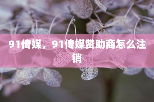91传媒，91传媒赞助商怎么注销