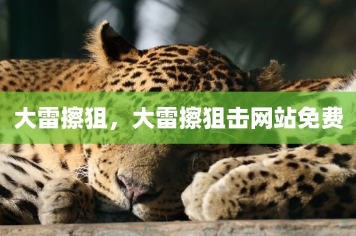 大雷擦狙，大雷擦狙击网站免费