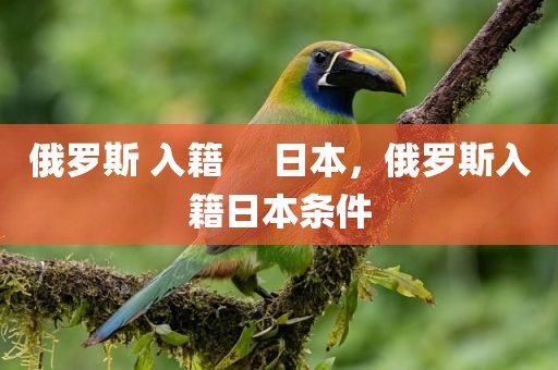 俄罗斯 入籍     日本，俄罗斯入籍日本条件