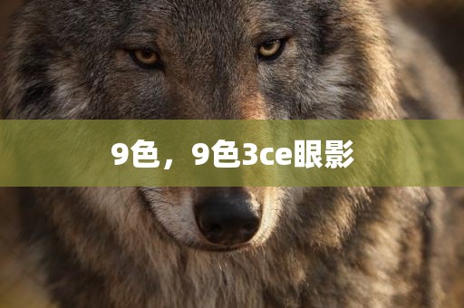 9色，9色3ce眼影