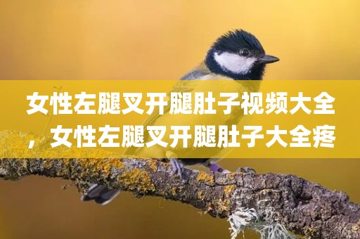 女性左腿叉开腿肚子视频大全，女性左腿叉开腿肚子大全疼