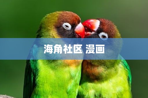 海角社区 漫画