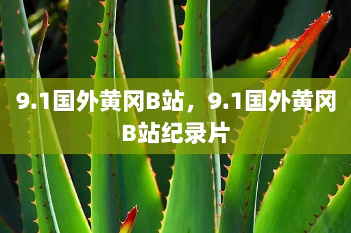 9.1国外黄冈B站，9.1国外黄冈B站纪录片