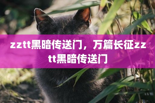 zztt黑暗传送门，万篇长征zztt黑暗传送门