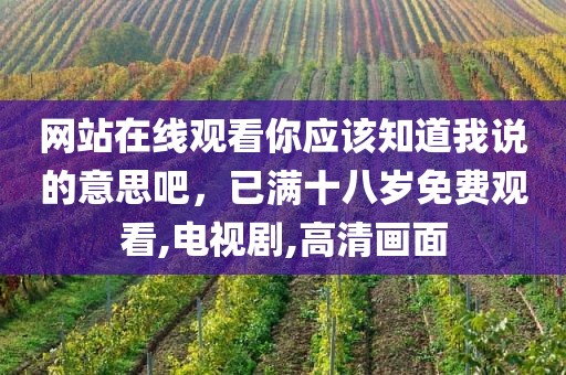 网站在线观看你应该知道我说的意思吧，已满十八岁免费观看,电视剧,高清画面