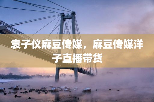 袁子仪麻豆传媒，麻豆传媒洋子直播带货