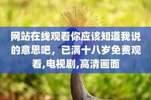 网站在线观看你应该知道我说的意思吧，已满十八岁免费观看,电视剧,高清画面