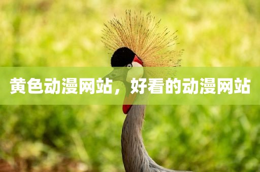 黄色动漫网站，好看的动漫网站
