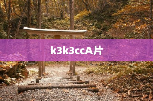 k3k3ccA片