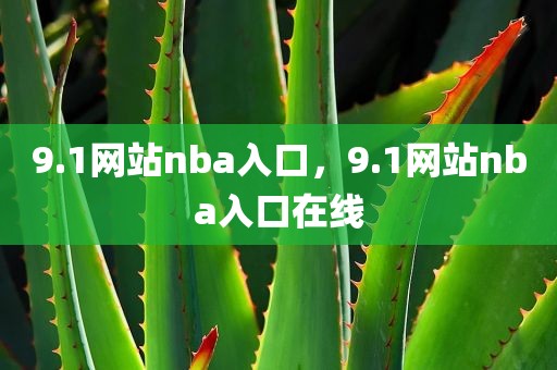 9.1网站nba入口，9.1网站nba入口在线